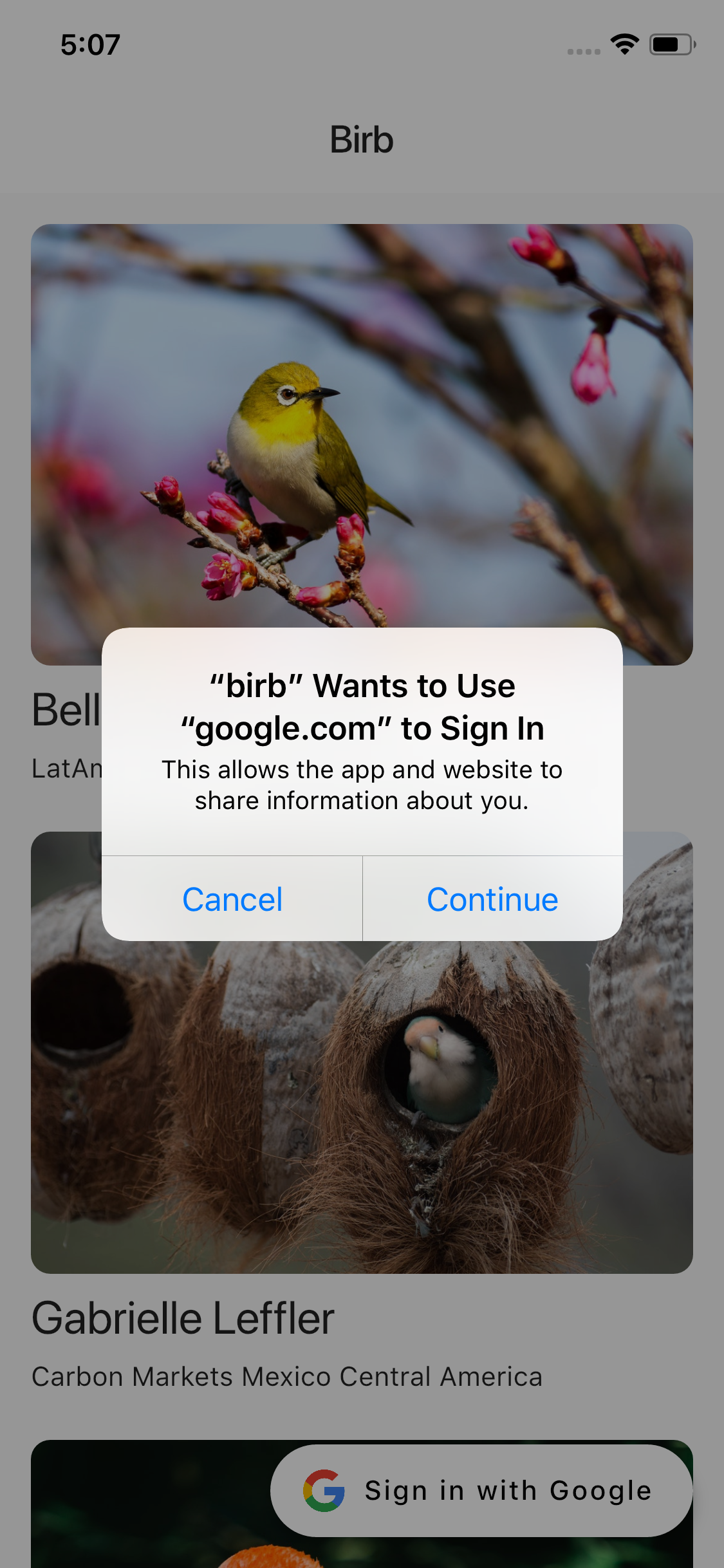 Sign in flow on iOS