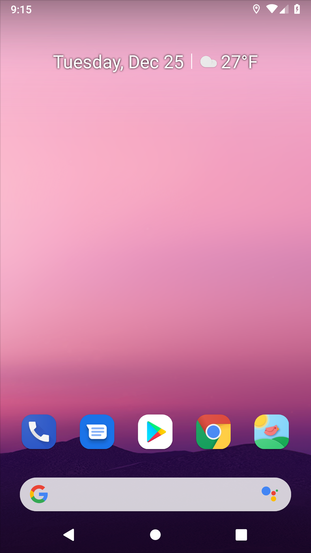 Birb logo on Android home screen