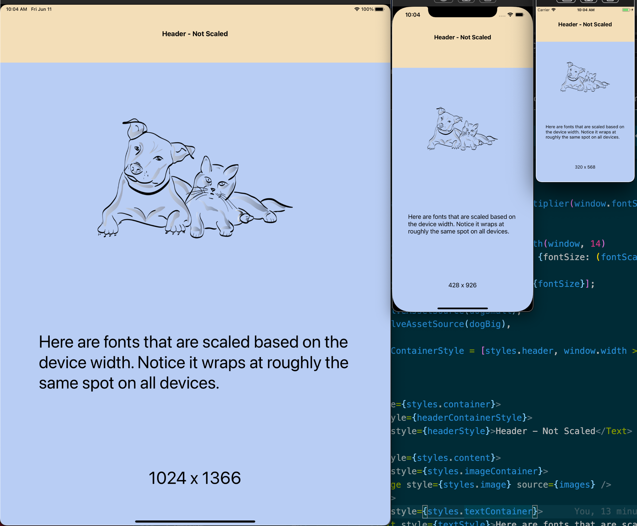 Screenshot of demo app